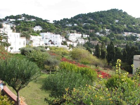 Capri saar