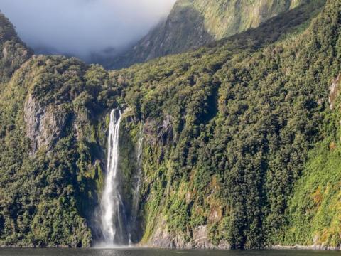 Uus-Meremaa, Milford Sound, Ovation of the Seas Uus-Meremaa kruiisid